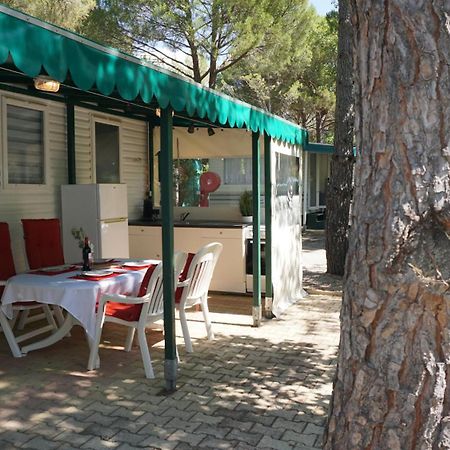 רוקברון-סור-ארז'נס Chalets Met Buitenkeuken Op Camping Lei Suves - Joycasa מראה חיצוני תמונה