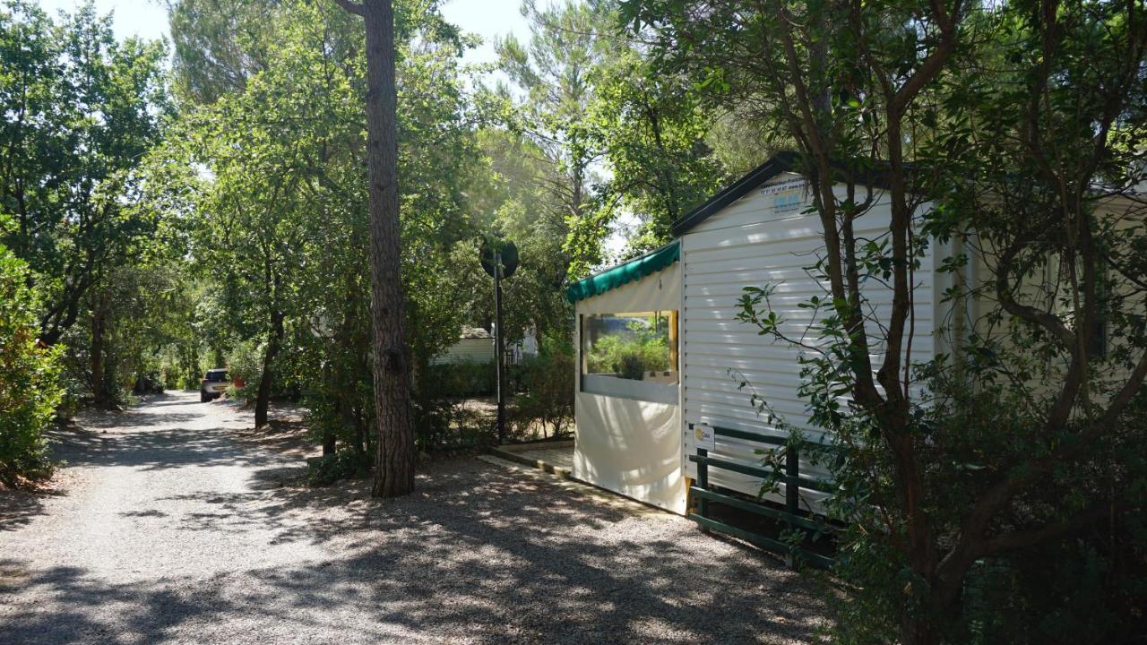 רוקברון-סור-ארז'נס Chalets Met Buitenkeuken Op Camping Lei Suves - Joycasa מראה חיצוני תמונה